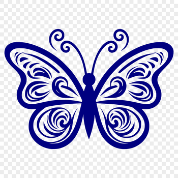 A detailed illustration of a butterfly's full body, showcasing its colorful wings and delicate features.