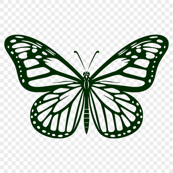 A detailed vector illustration of a butterfly with its wings and body fully visible.