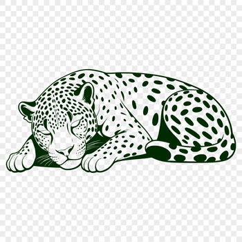 Large wild cat species illustration in vector format.