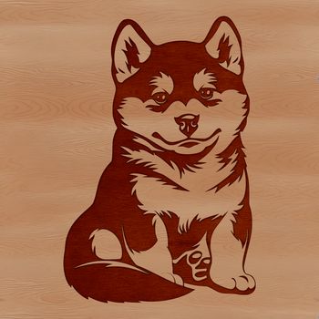A sitting Japanese breed dog with fox-like features, suitable for vector art designs.