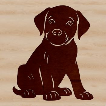 A Labrador Retriever sits on the floor, its fur fluffed up.