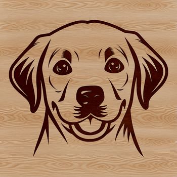 A high-quality illustration of a friendly Labrador Retriever's head.