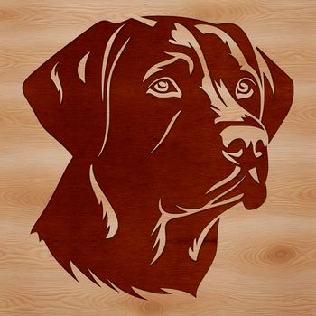 A head-on illustration of a friendly Labrador Retriever breed dog with distinctive features.