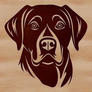 A realistic illustration of a Labrador Retriever's head, suitable for vector art and graphic design projects.