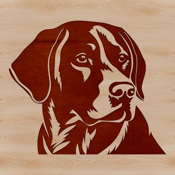 A portrait of a friendly Labrador Retriever's head with a gentle expression.