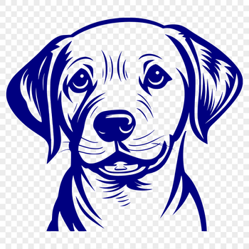 Illustrated vector graphic of a happy Labrador Retriever dog.