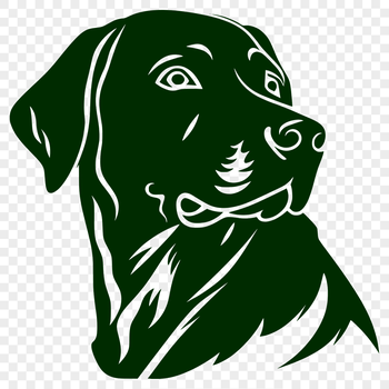 An illustration of a Labrador Retriever's head, suitable for vector design projects.