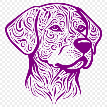 A detailed illustration of a Labrador Retriever's head, suitable for clip art and vector design projects.