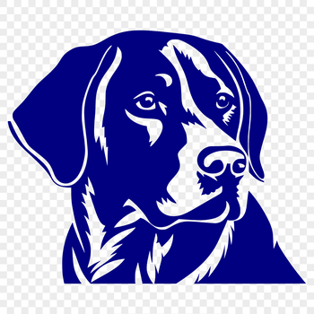 A detailed illustration of a Labrador Retriever's head, suitable for vector design.