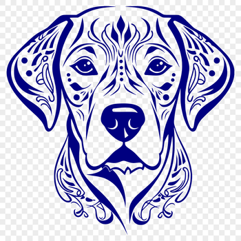 A close-up of a friendly Labrador Retriever's head with details.
