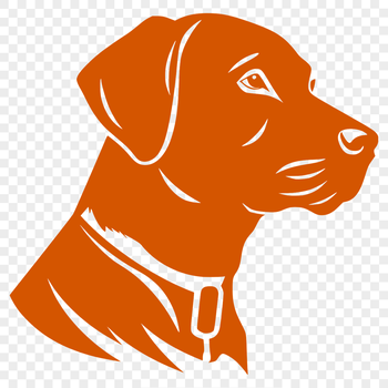 Labrador Retriever breed dog in vector format