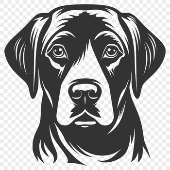 A close-up illustration of a friendly Labrador Retriever's head, suitable for vector design projects.