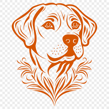 A high-quality vector illustration of a Labrador Retriever's head, suitable for various digital designs.