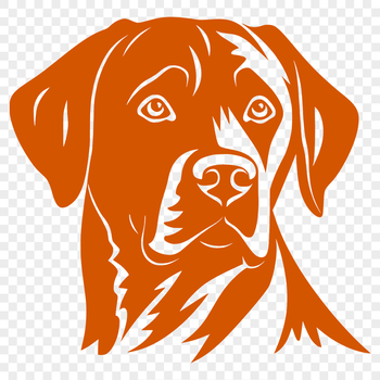 A detailed illustration of a friendly Labrador Retriever's head, suitable for custom design projects.