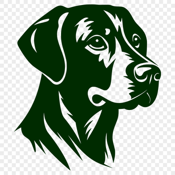 A high-quality illustration of a Labrador Retriever's head, suitable for use in vector designs.