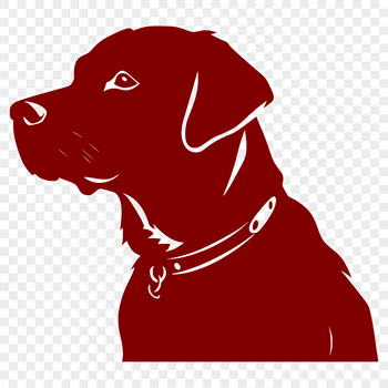 A generic illustration of a Labrador Retriever's head in vector format.