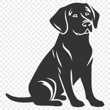 Vector illustration of a sitting Labrador Retriever in full body form.