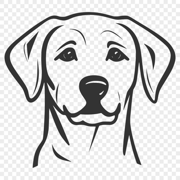 Image of a Labrador Retriever's head in vector format.