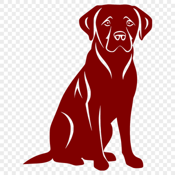 A full-body illustration of a sitting Labrador Retriever dog in a simple style.