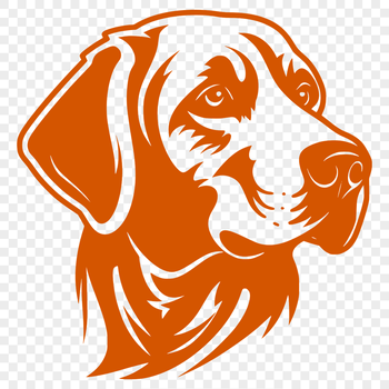 Illustrative representation of a Labrador Retriever dog breed.