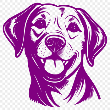 A high-quality digital illustration of a Labrador Retriever's head in vector format.