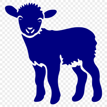 A detailed illustration of a sheep in full body pose, suitable for various uses.