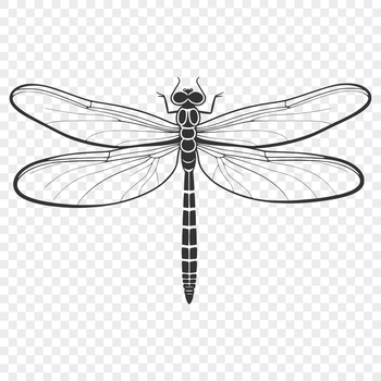 A detailed illustration of a dragonfly in various colors, suitable for vector art projects.