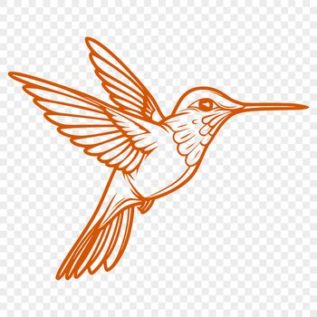 A full-body illustration of a hummingbird in mid-flight, suitable for vector design and cutting machine projects.