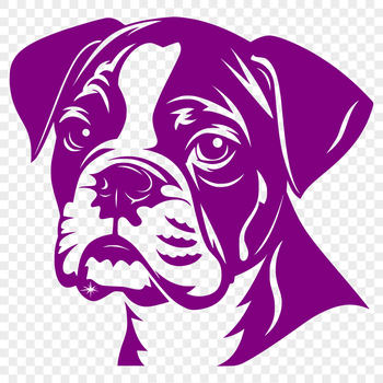 A digital representation of a Boxer dog's head, suitable for vector design and commercial or personal use.
