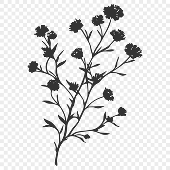 A detailed illustration of a wild flower in a natural setting.