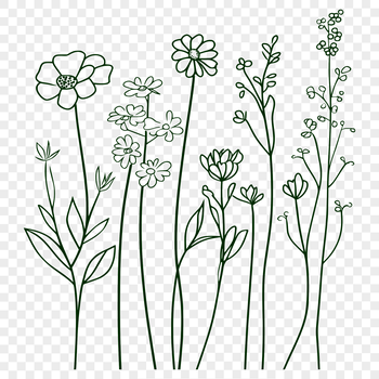 A simple illustration of a wild flower in bloom, created using vector art.
