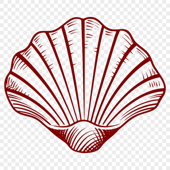 A stylized illustration of a large seashell with intricate details, suitable for various designs and projects.