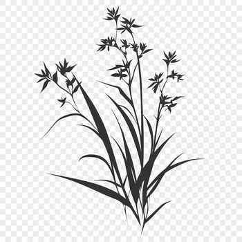 A stylized illustration of a wildflower in a vector format.