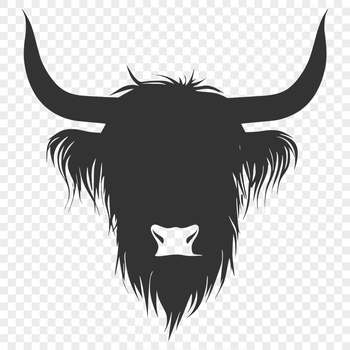 Highland cow standing outdoors on a farm, illustration in vector format.