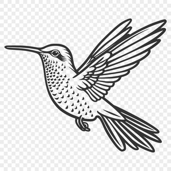 A colorful hummingbird in mid-air, shown from full body perspective.