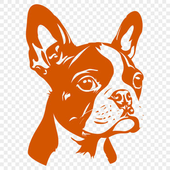 A stylized illustration of a Boston Terrier dog breed featuring its distinctive head and facial features.