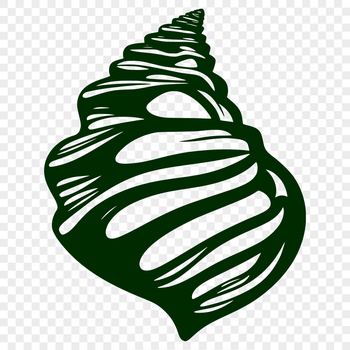 A stylized illustration of a seashell, suitable for vector graphic design projects.