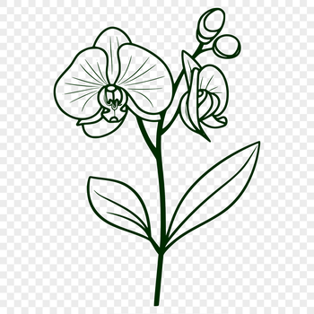 A stylized orchid flower with intricate details, suitable for vector design and cutting machine templates.