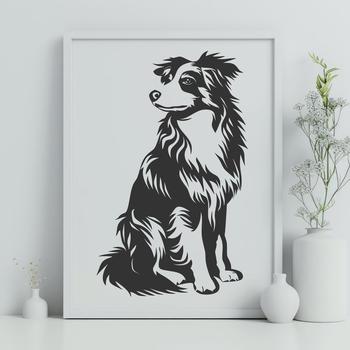 A breed of dog known as the Australian Shepherd in full body pose, sitting down.