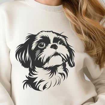 A small dog breed, the Shih Tzu, with a distinctive head shape and facial features.