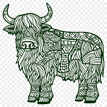 A highland cow standing in a field, with its distinctive shaggy coat and large horns.