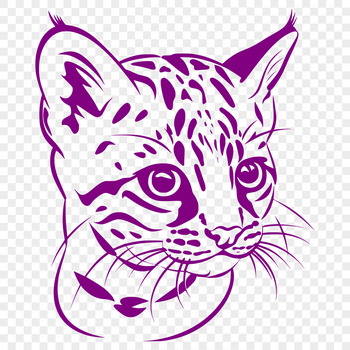 A high-quality image of a wild ocelot's head, featuring sharp facial features and fur details.