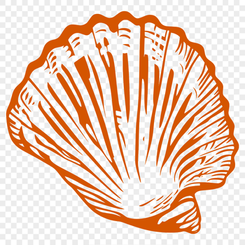 A decorative seashell design made from vector graphics for use in digital projects.