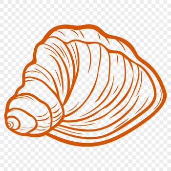 A stylized illustration of a seashell, suitable for use as a vector graphic or clip art design.