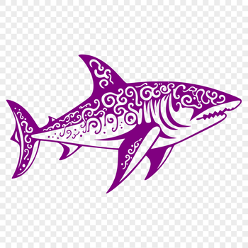 A detailed illustration of a shark's body in vector format.