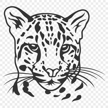 A close-up illustration of a wild ocelot's head, featuring sharp facial features and distinctive markings.