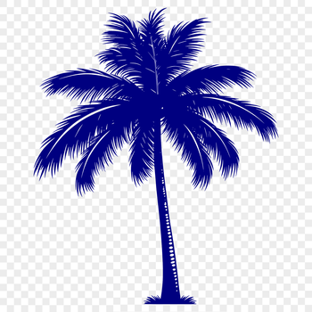 A single palm tree with large leaves and trunk, ideal for vector art projects and designs.