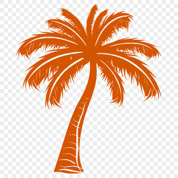 A single palm tree standing on a white background, ideal for vector designs and digital crafting.