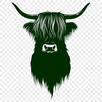 A illustration of a Highland Cow's head with distinctive horns and coat patterns.