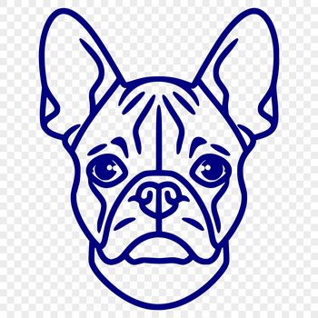 Close-up of a Boston Terrier's head, hand-drawn animal design.